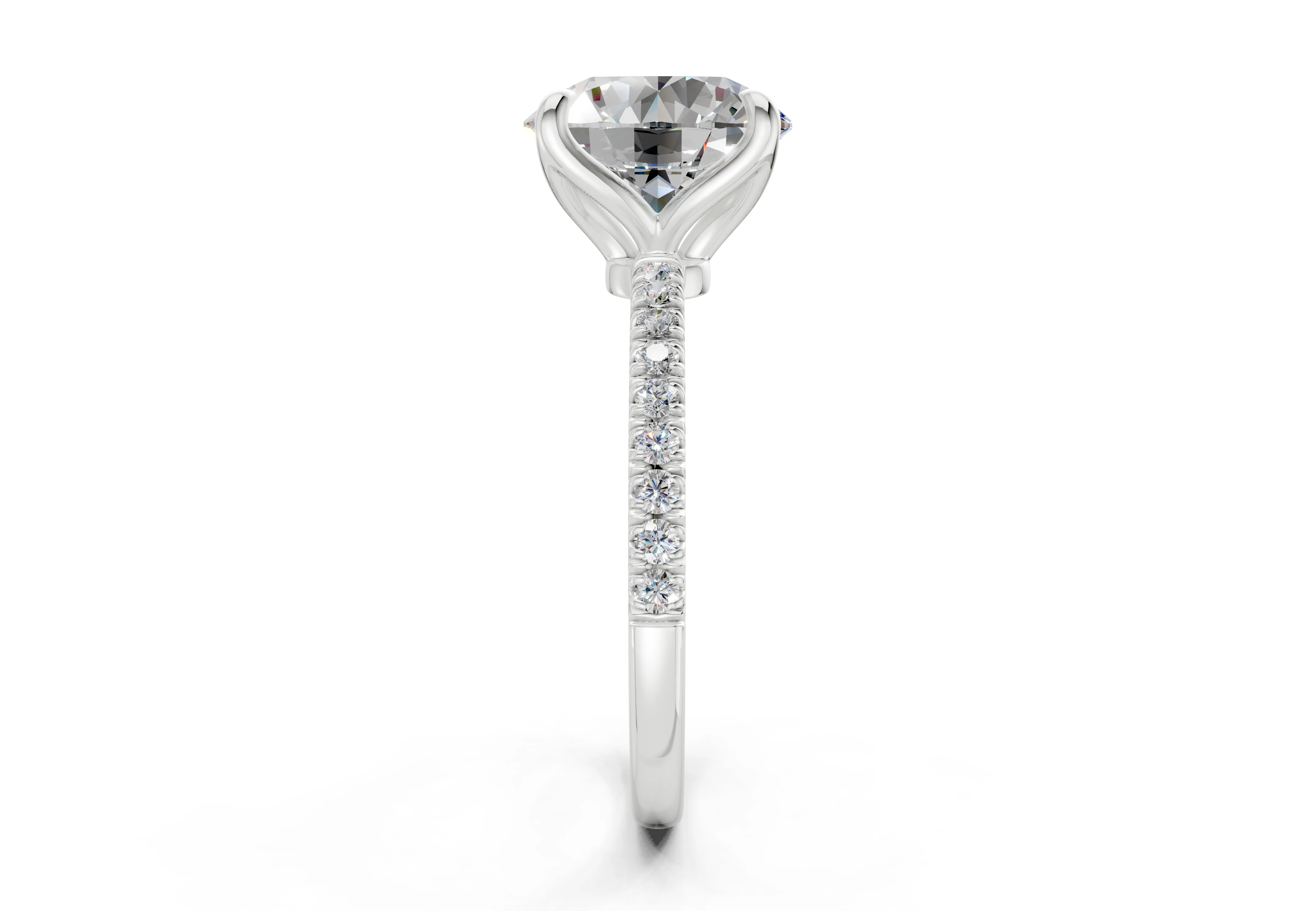 Product image 81